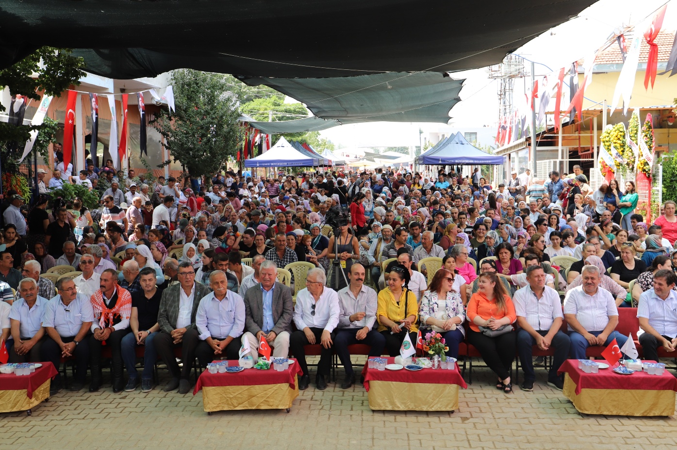 odemis-cilek-barbunya-festival (3)