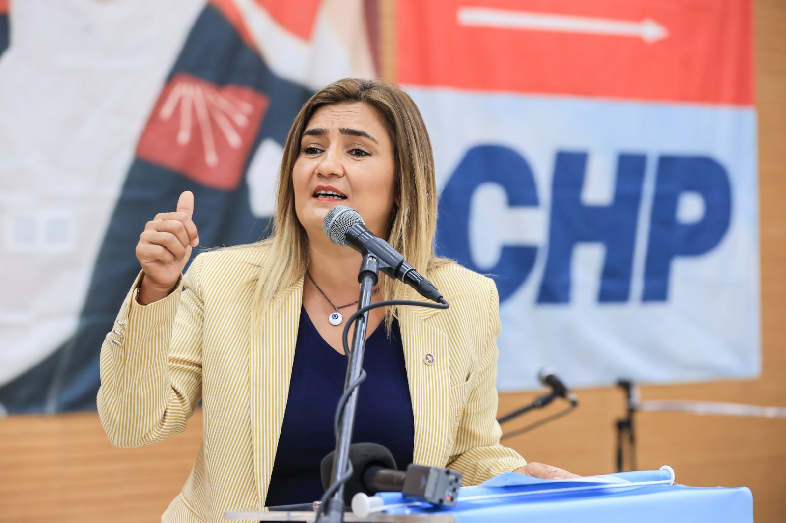 TBMM Başkanlık Divanı Kâtip Üyesi ve CHP İzmir Milletvekili Sevda Erdan Kılıç