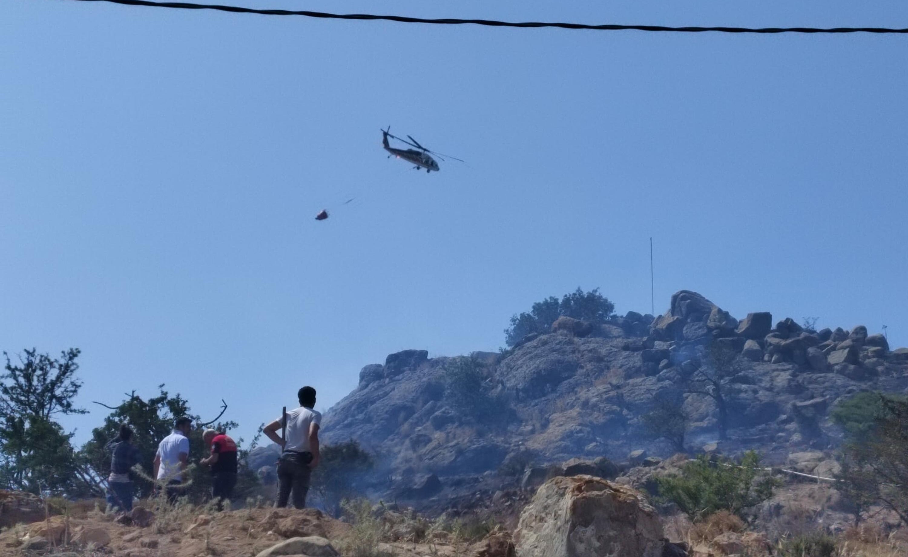 Bodrum'da Alevler 20 Dönüm Makiliği Küle Çevirdi