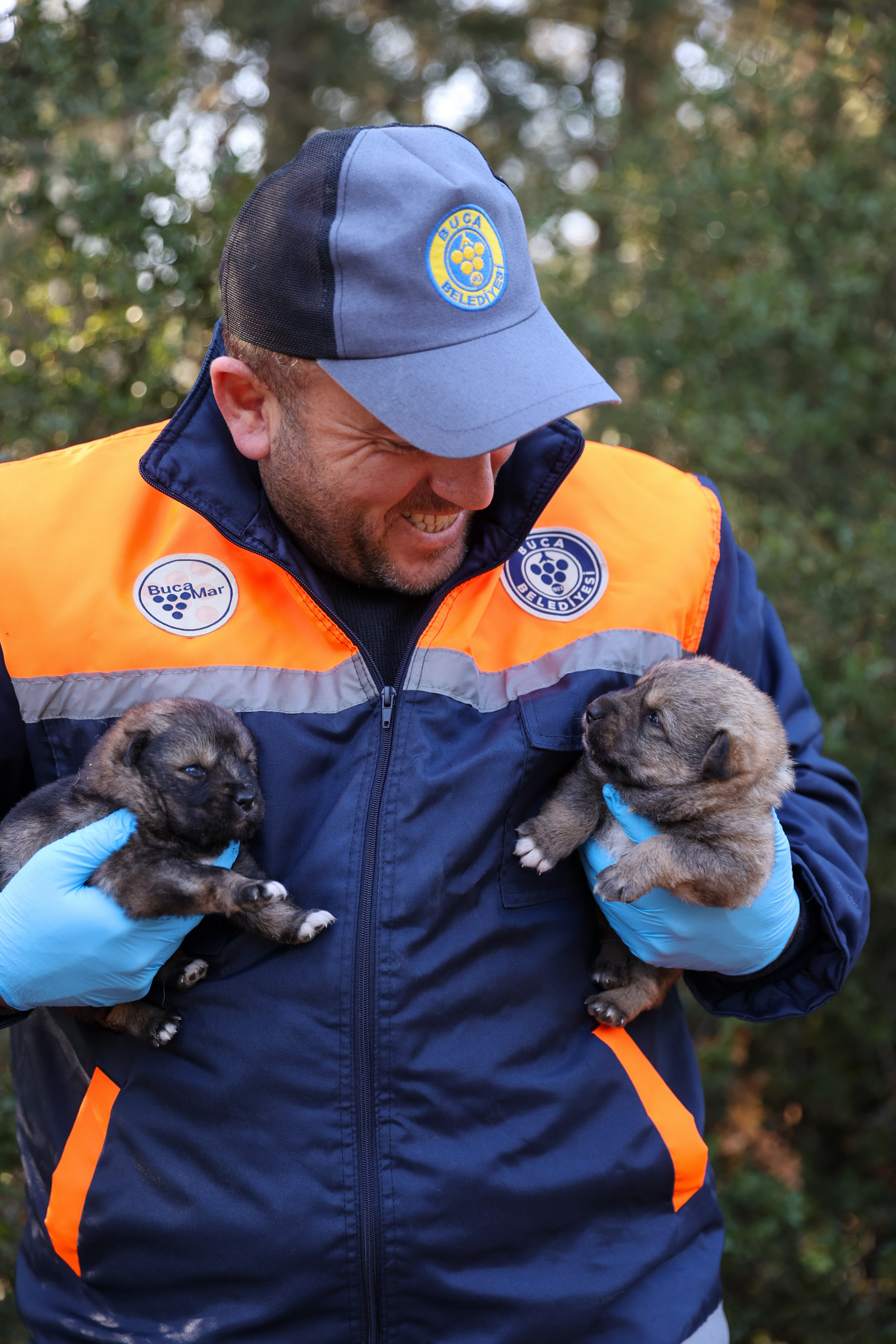 Buca Belediyesi’nden Ücretsiz Çip Takma Ve Kısırlaştırma Uygulaması 4