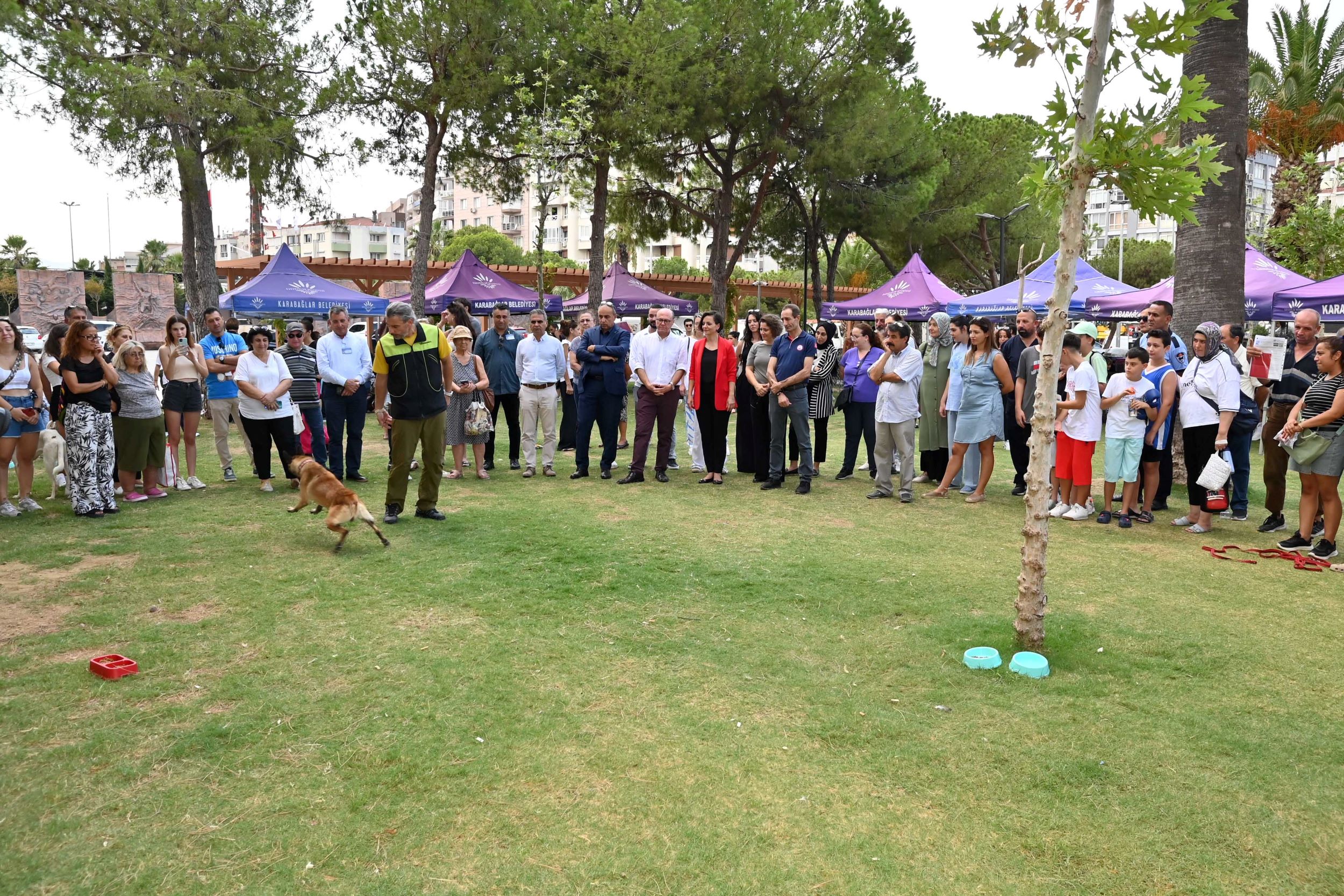 Karabağlar Belediyesi Can Dostlarını Sahiplendirdi (9)