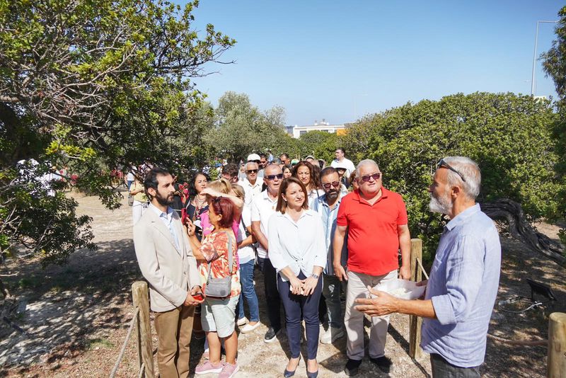 Çeşme’de Hedef 100 Bi̇n Sakiz Ağaci 5