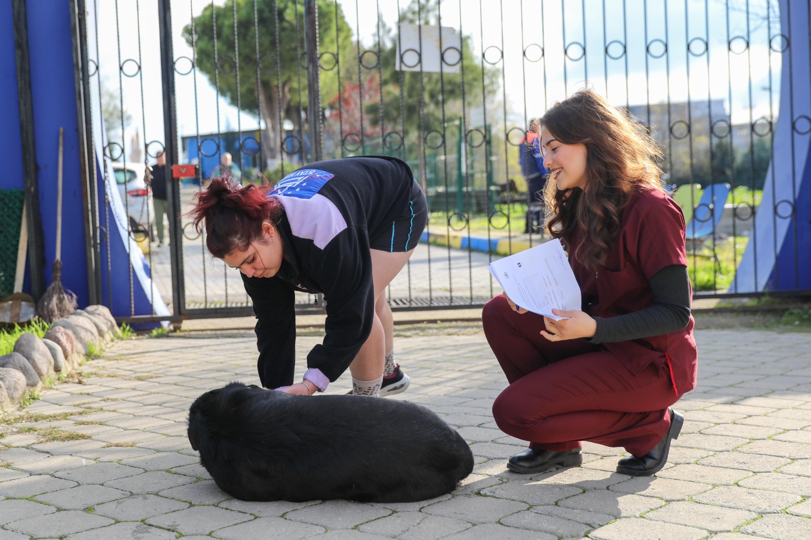 Buca Belediyesi'nden Sahiplendirme Çağrısı 03