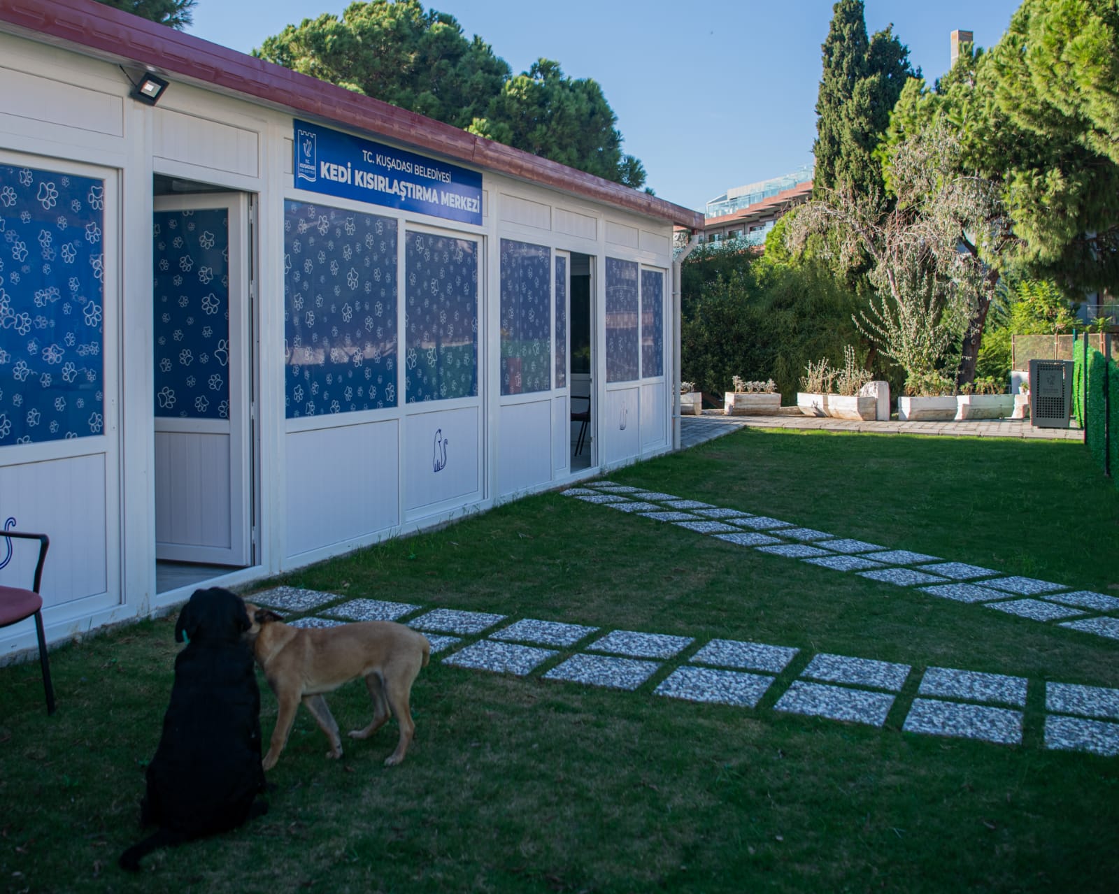 Kuşadası Kedi Kısırlaştırma Merkezi (2)