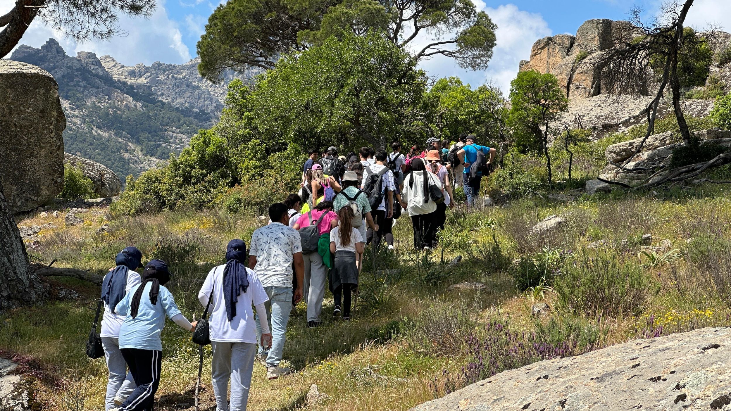 Fotoğraf (6)-84
