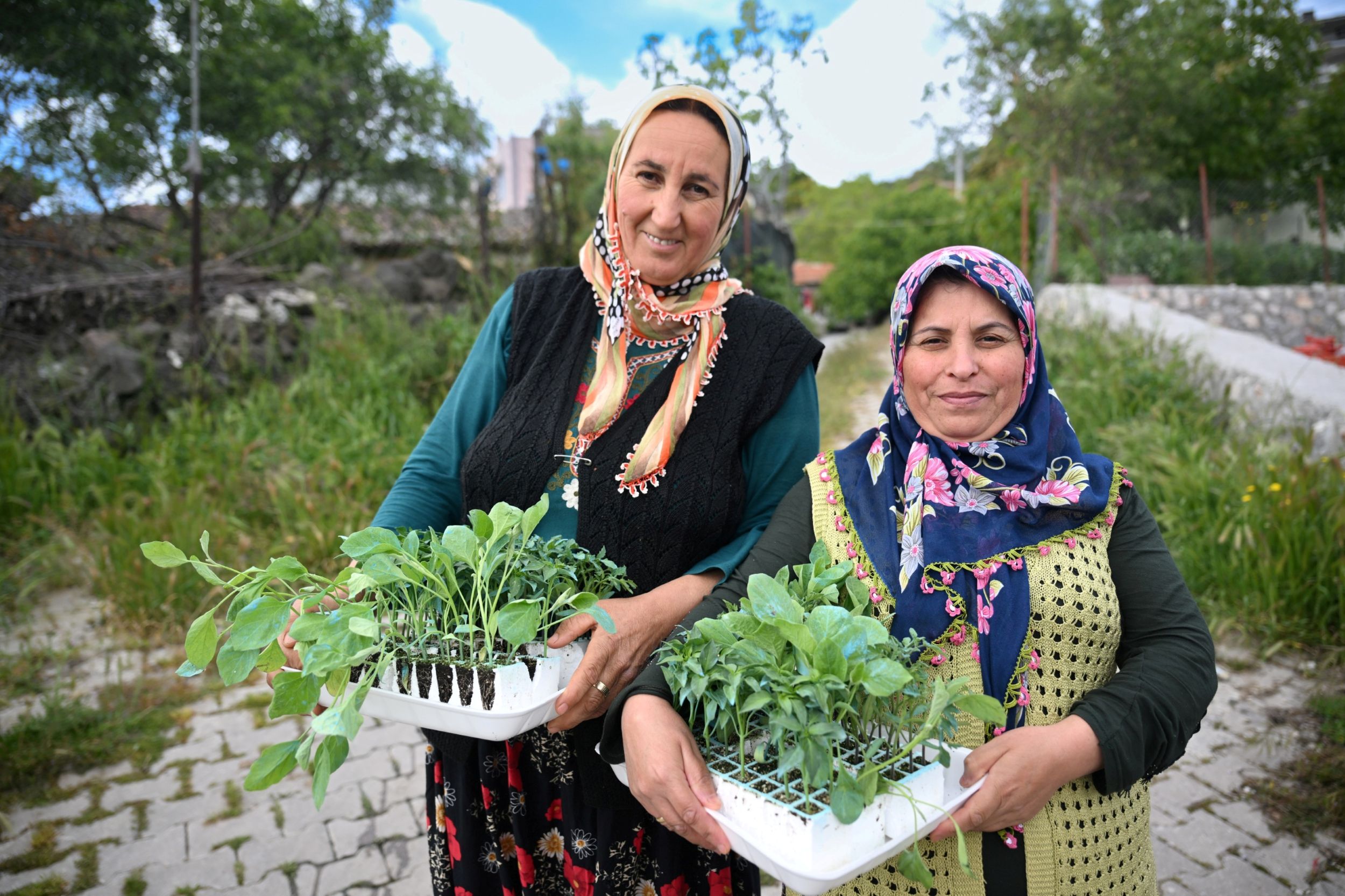 Ureticiye Fide Dağitimi (3)