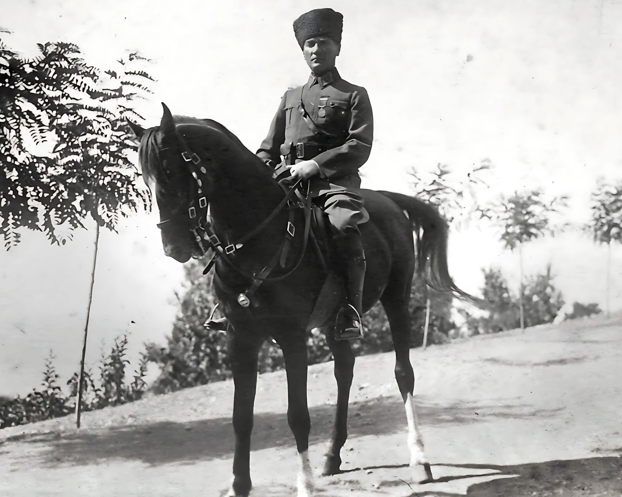 Yazı (2)