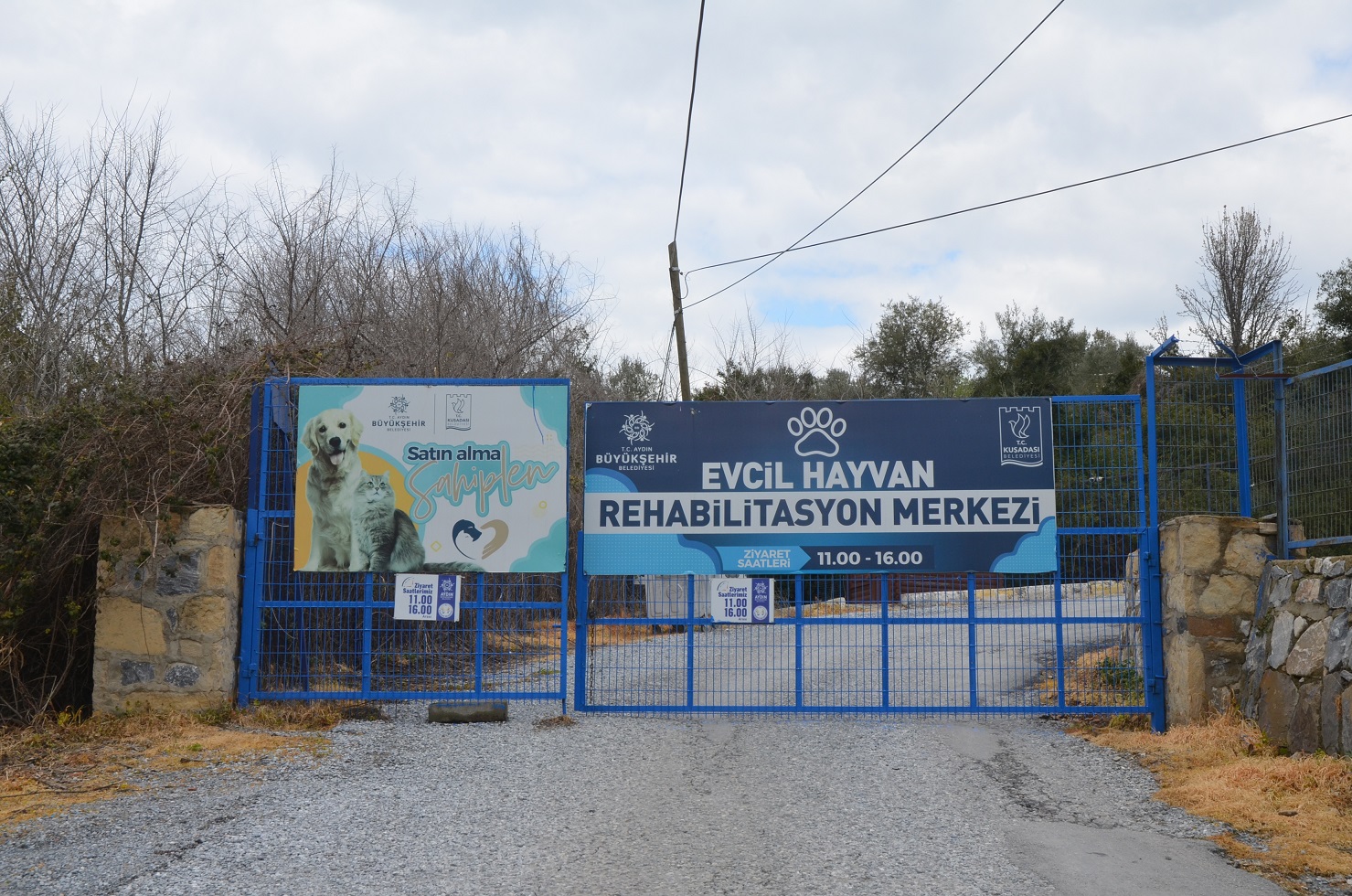 Evcil Hayvan Rehabilitasyon Merkezi (6)