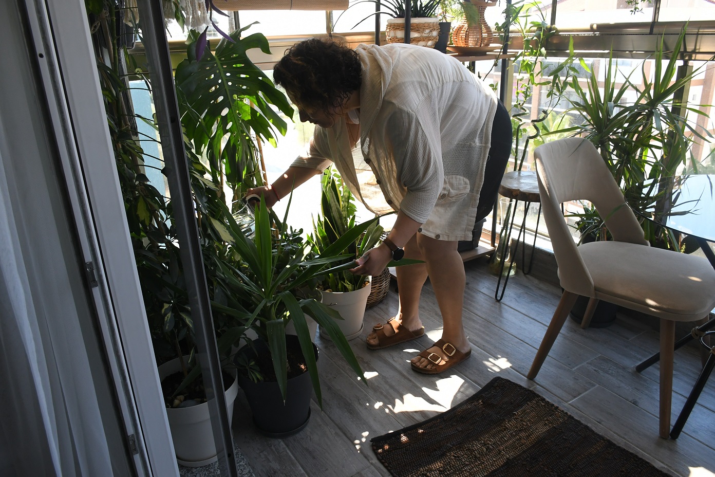 Balkon Bahçe Yarışması (3)