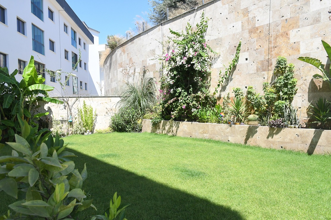 Balkon Bahçe Yarışması (4)