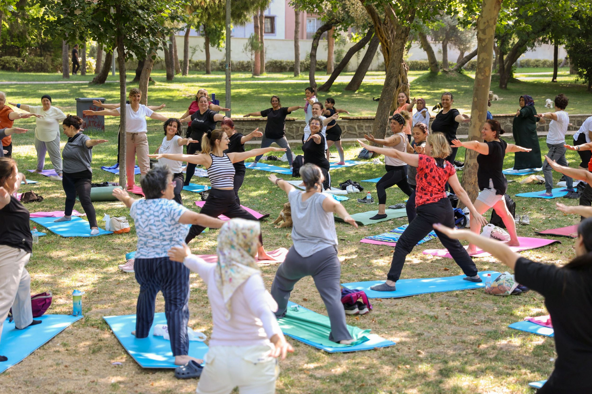 Ekim Ayı Editoryal Çalışması (5)