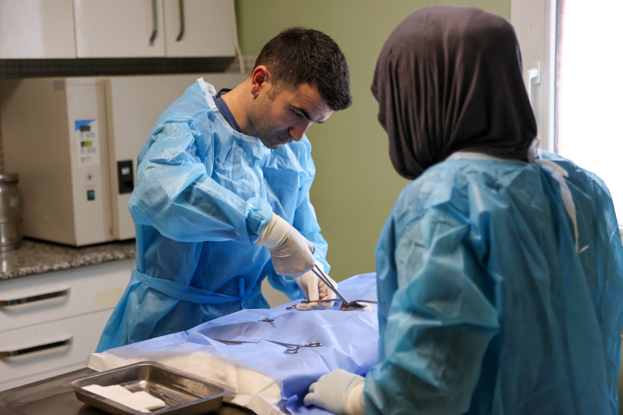 Kedi Kısırlaştırma7