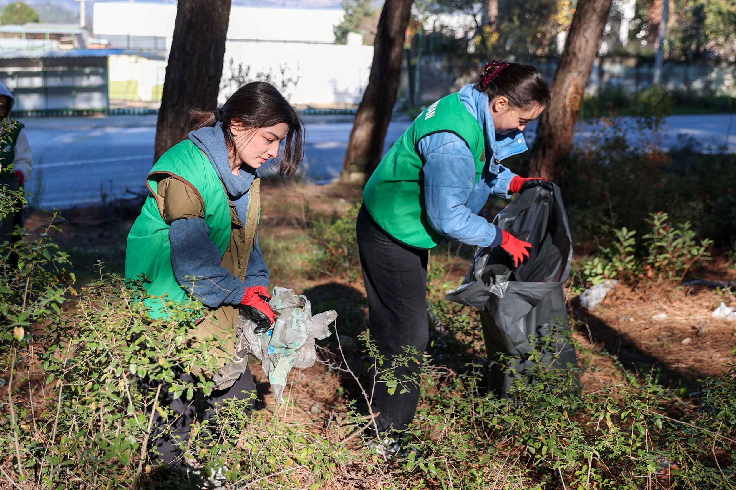 Buca Orman Temizligi (3)