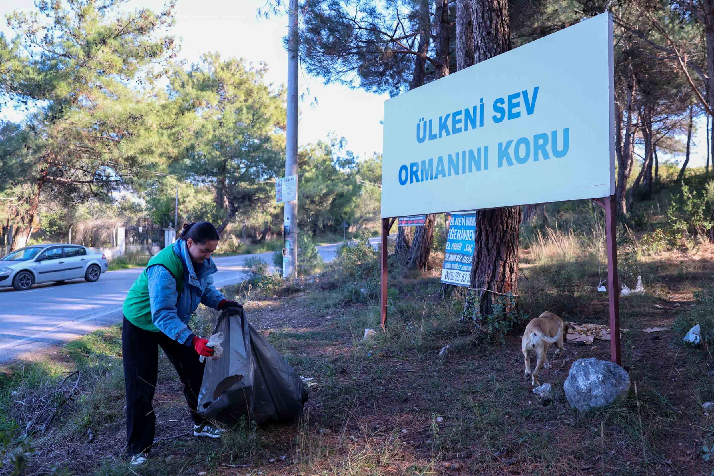 Buca Orman Temizligi (4)