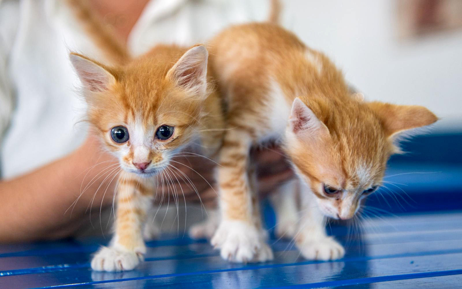 Kimliklendirme Uygulamasi (1)