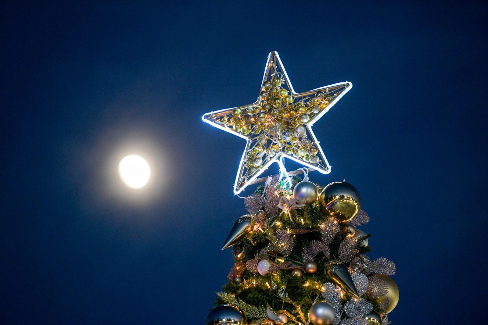 P H O T O 2025 12 02 21 21 33