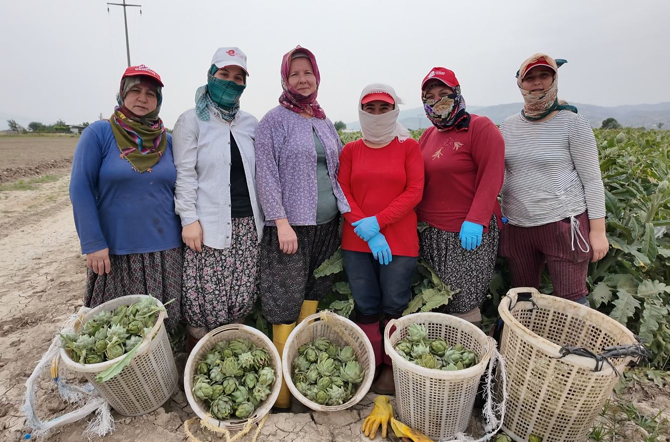 Whatsapp Image 2026 01 22 At 11.48.39 (1)