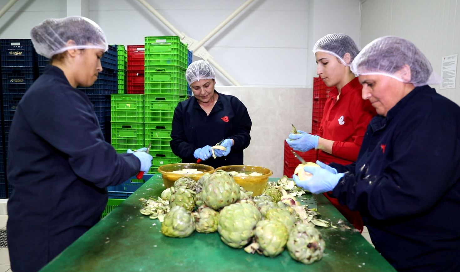 Whatsapp Image 2026 01 22 At 11.48.40 (1)