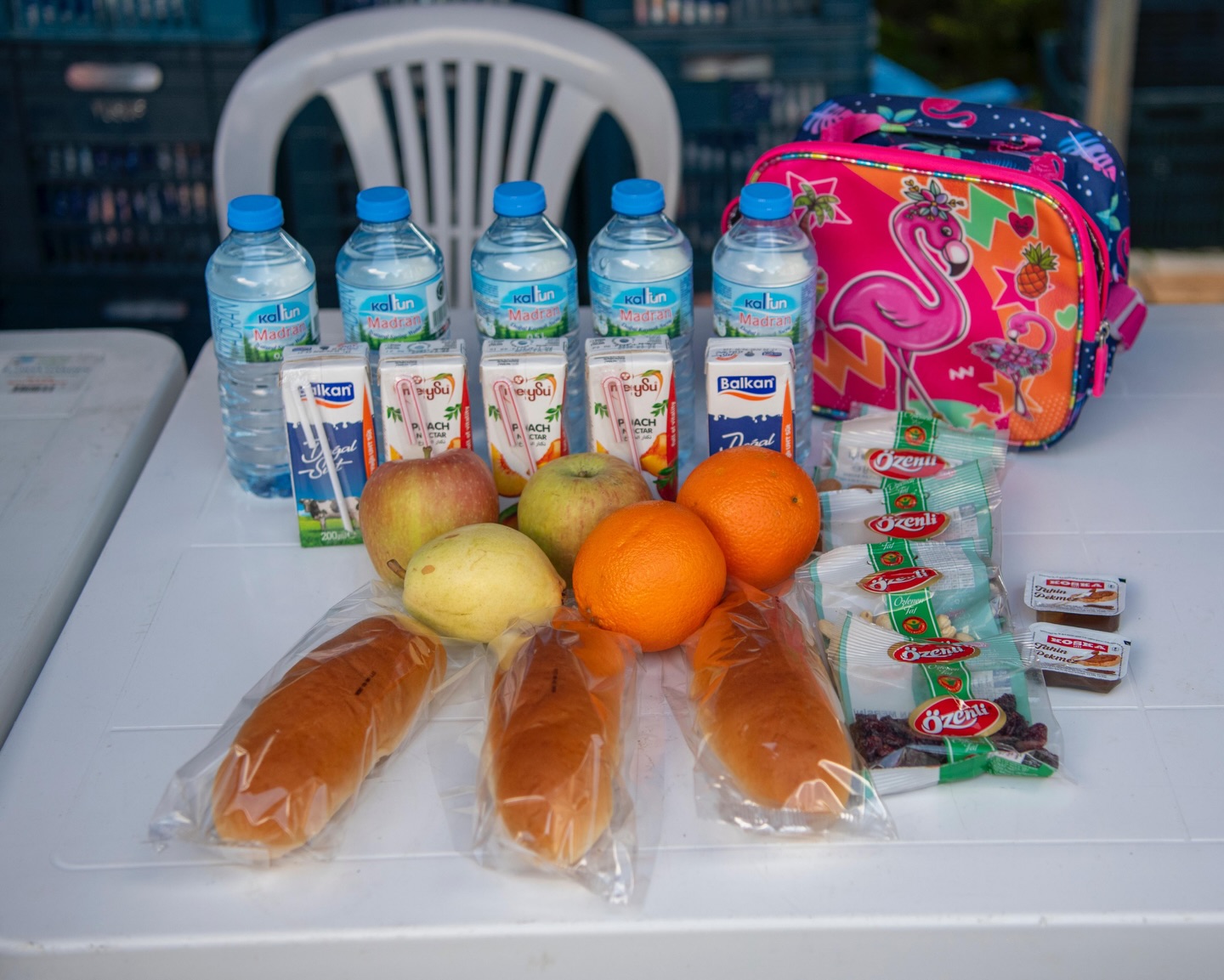 Beslenme Desteği (1)-5