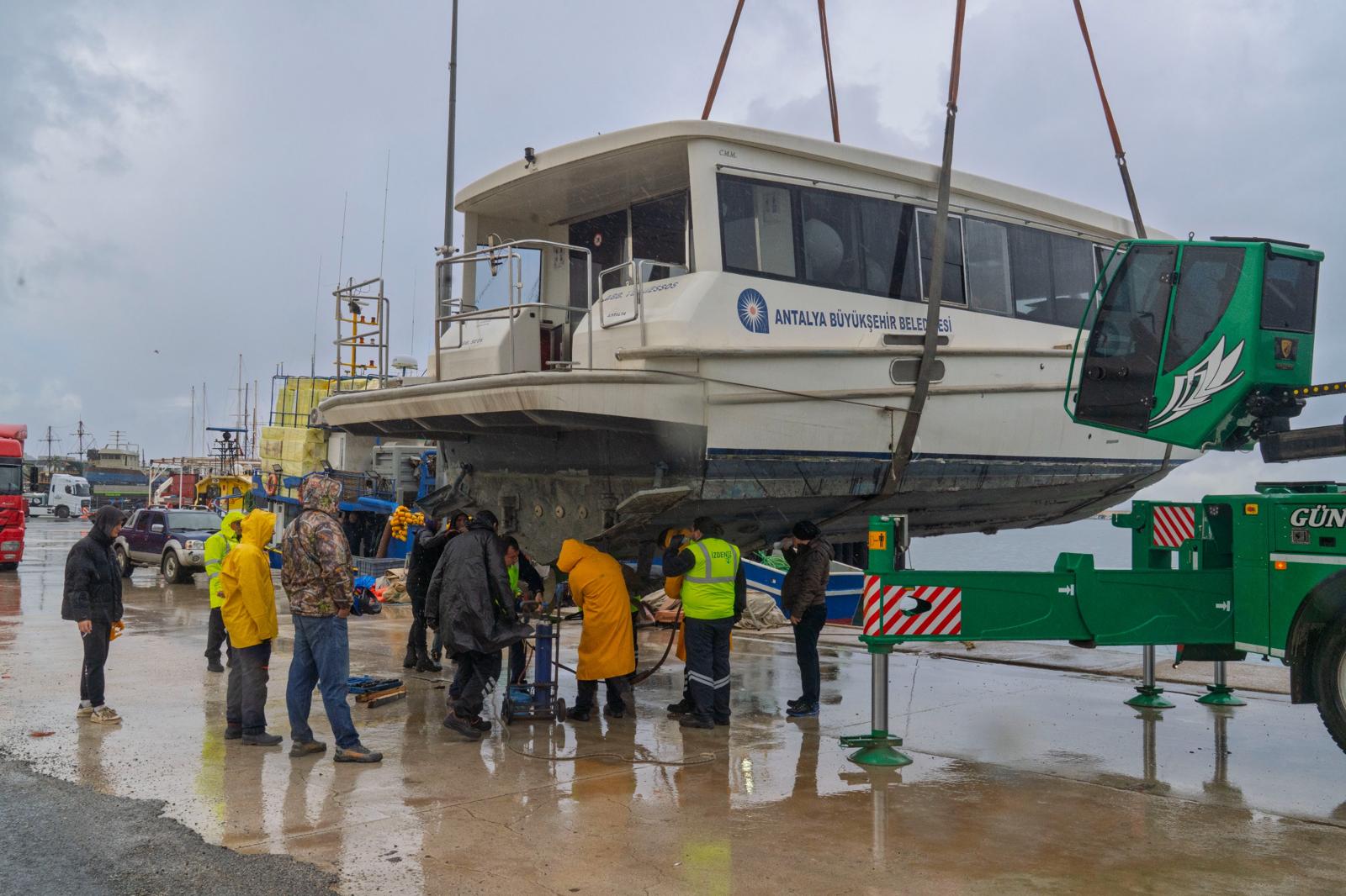 Photo 2026 02 06 21 30 27 4