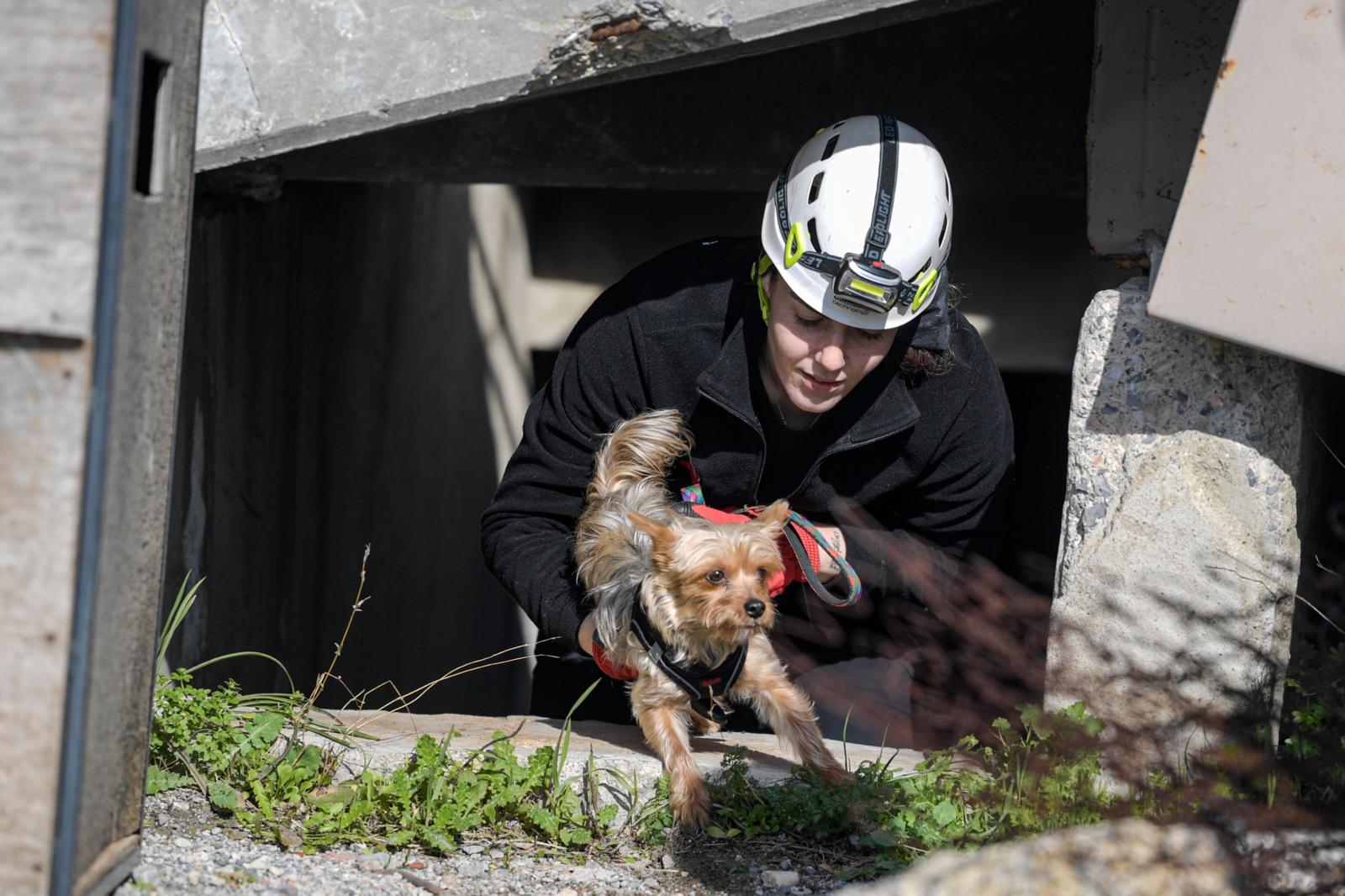 Photo 2026 02 08 19 27 01 3