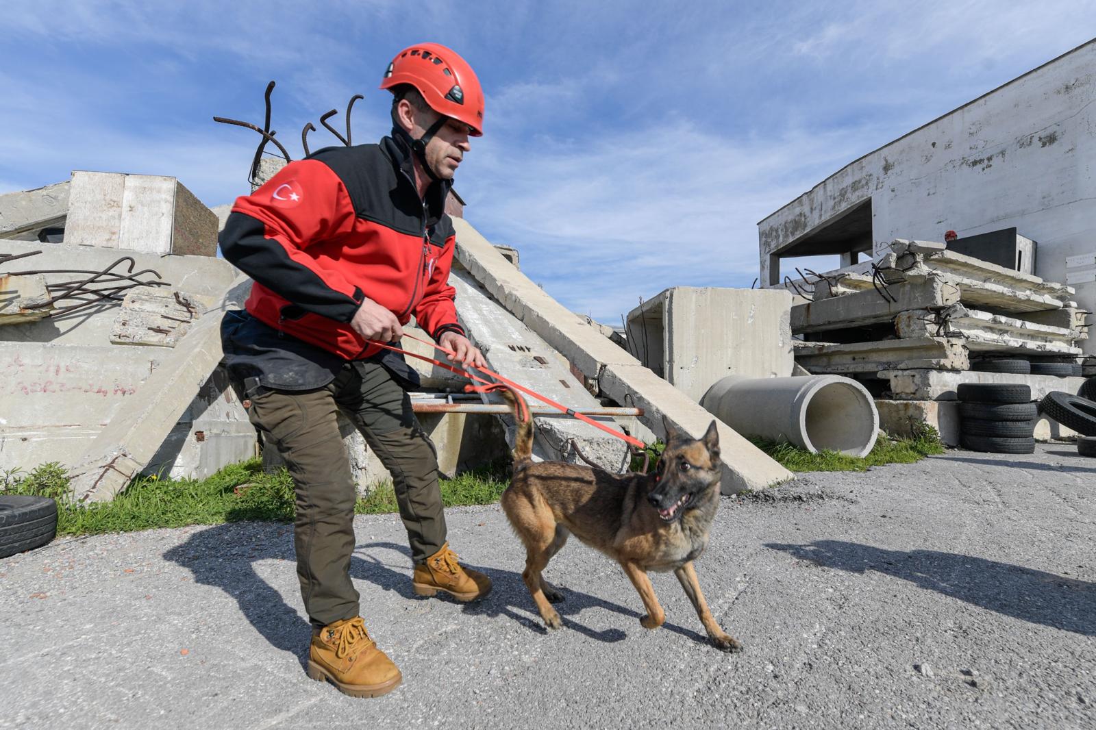 Photo 2026 02 08 19 27 02 4