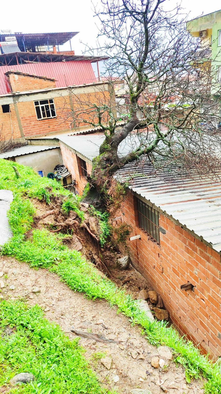 Whatsapp Image 2026 02 16 At 13.29.36 (2)