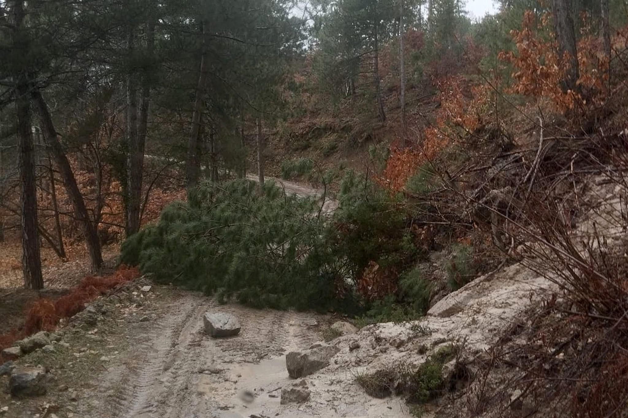 Whatsapp Image 2026 02 19 At 16.10.23 (3)