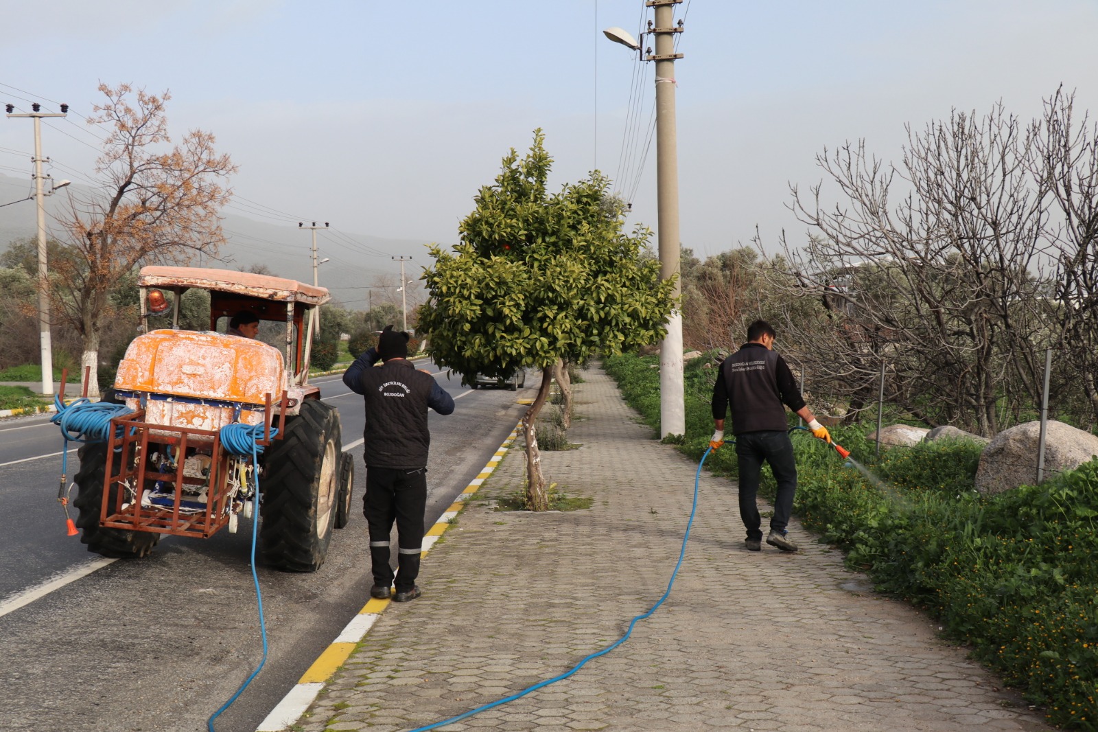 Whatsapp Image 2026 02 19 At 16.48.02 (1)