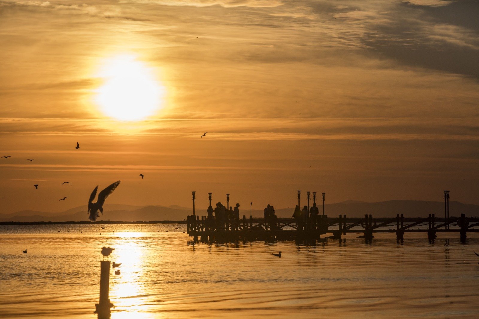 19.03.2026 C804Ebd2 5Ac5 4157 B982 77Fa0Ec227B5