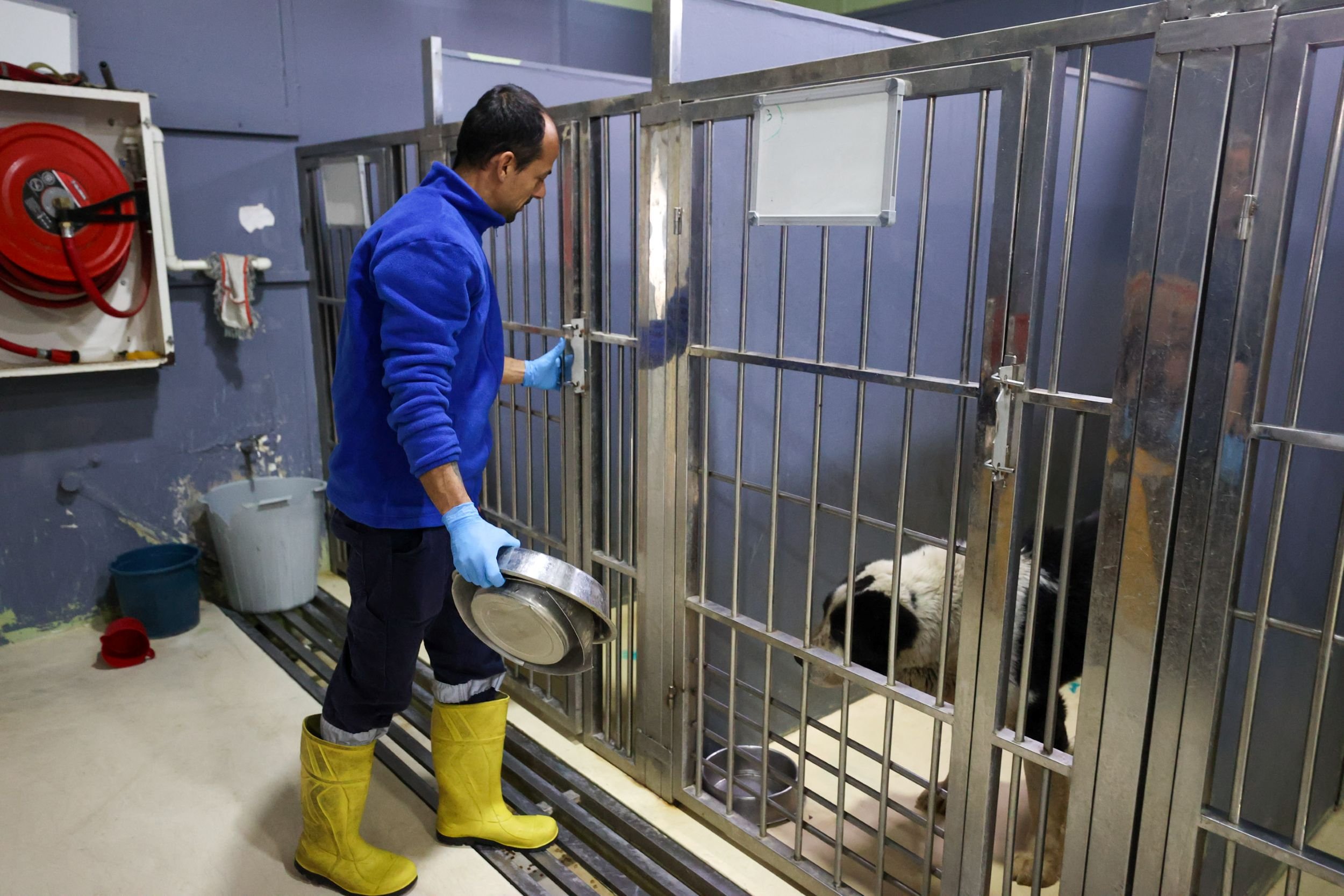 Buca Veteriner Temizlik1