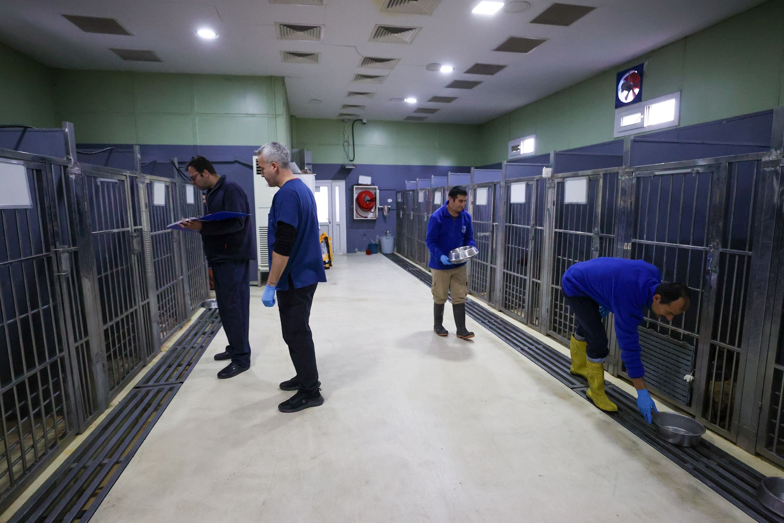 Buca'nın Can Dostlarına 'Beş Yıldızlı' Bakım
