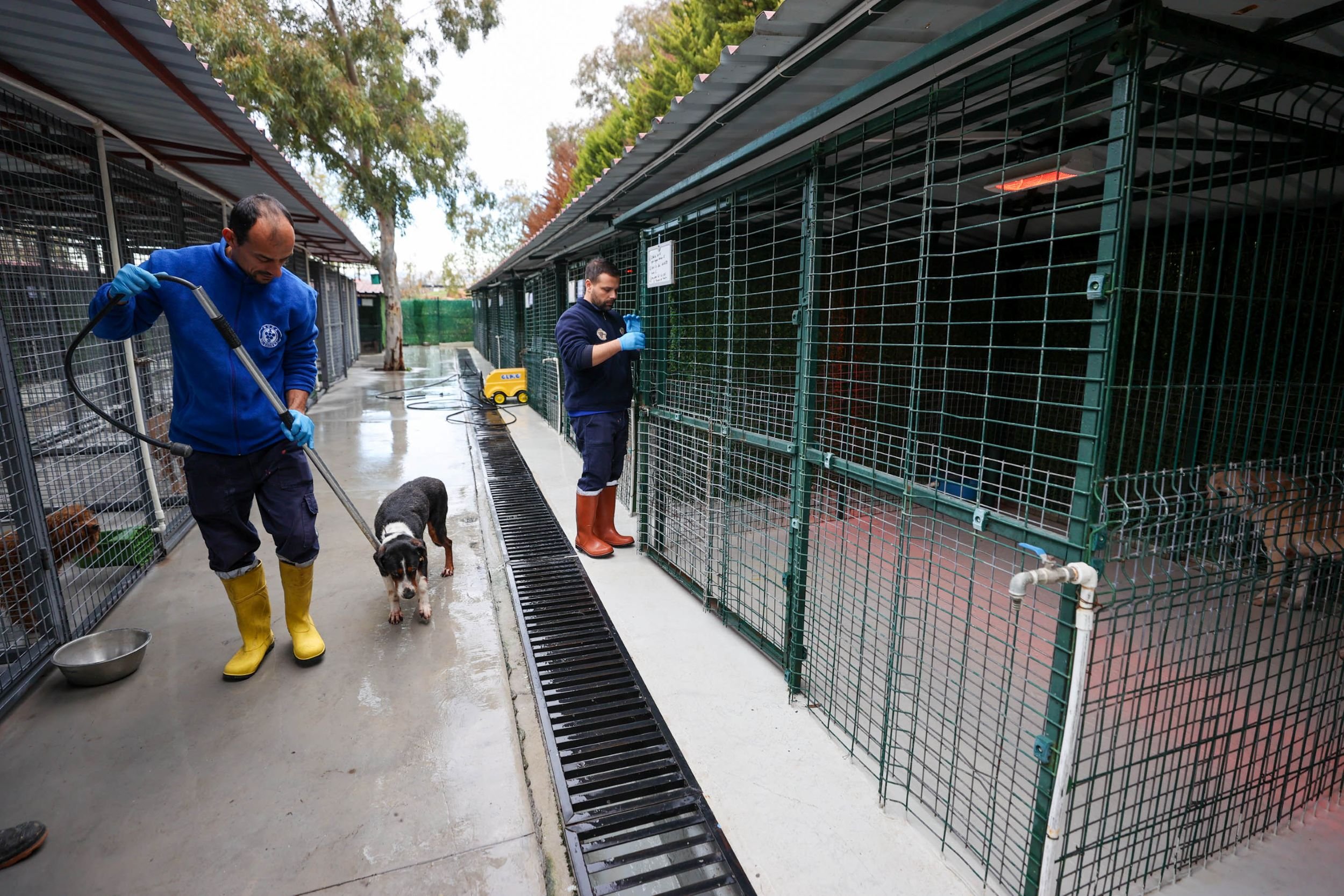 Buca Veteriner Temizlik4