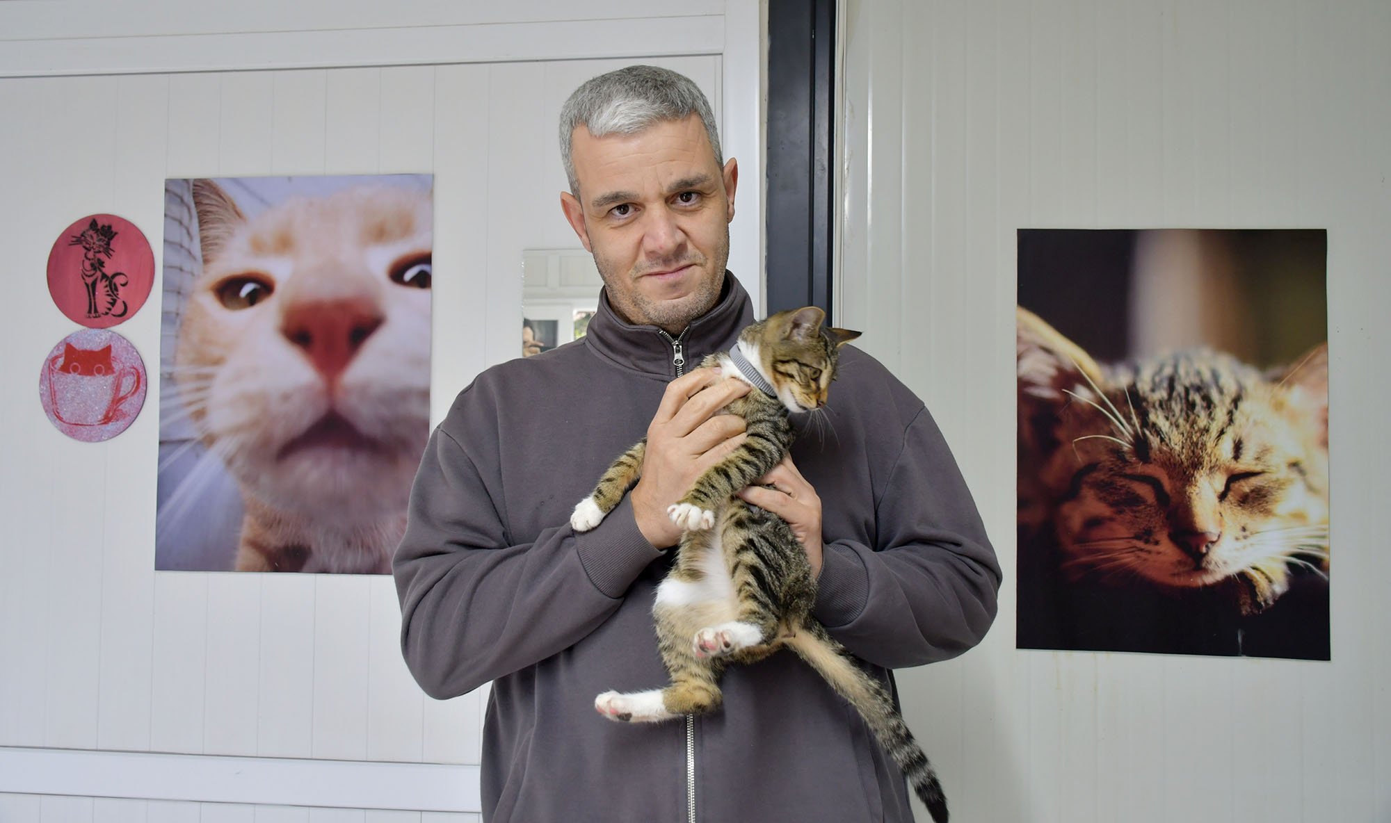 Kuşadası Veteriner İşleri'nden 'Kısırlaştırma' Çağrısı