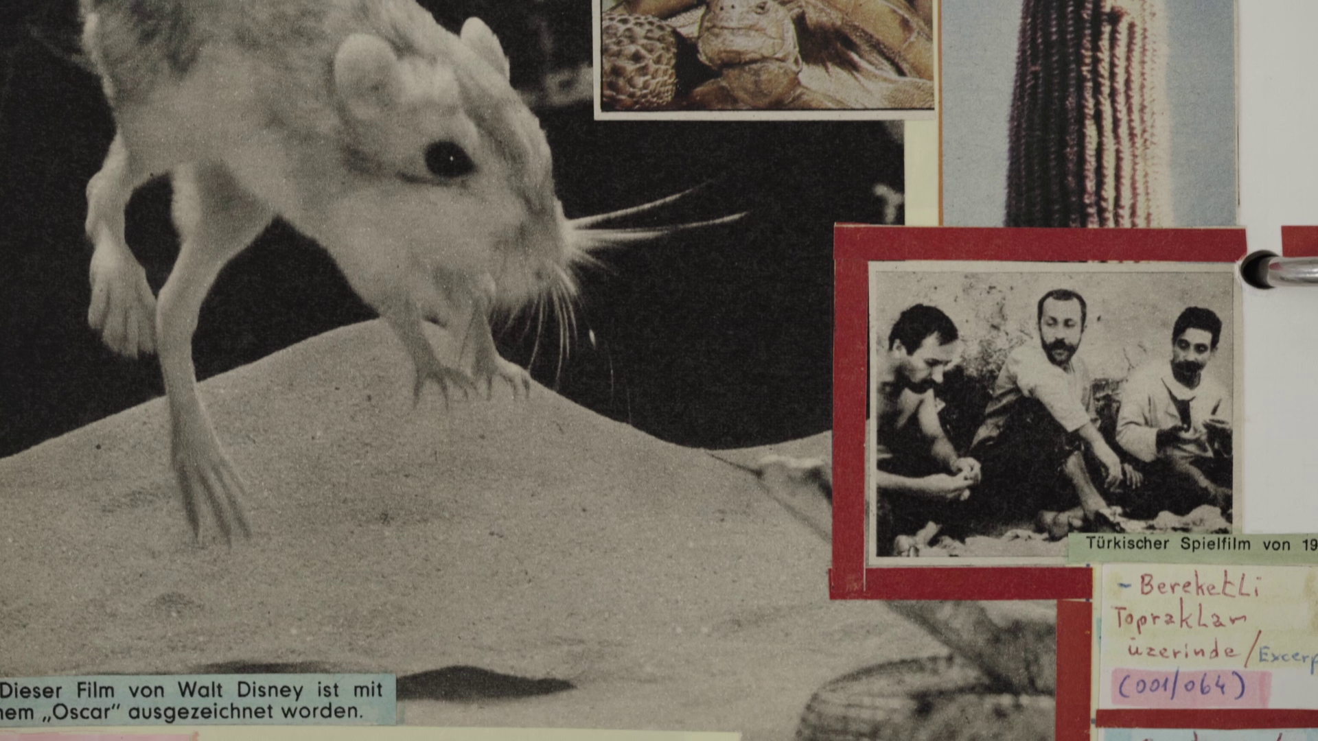 Mavi, Devrim Ve Vhs Kasetler, Serdar Kökçeoğlu, Türkiye, Belgesel