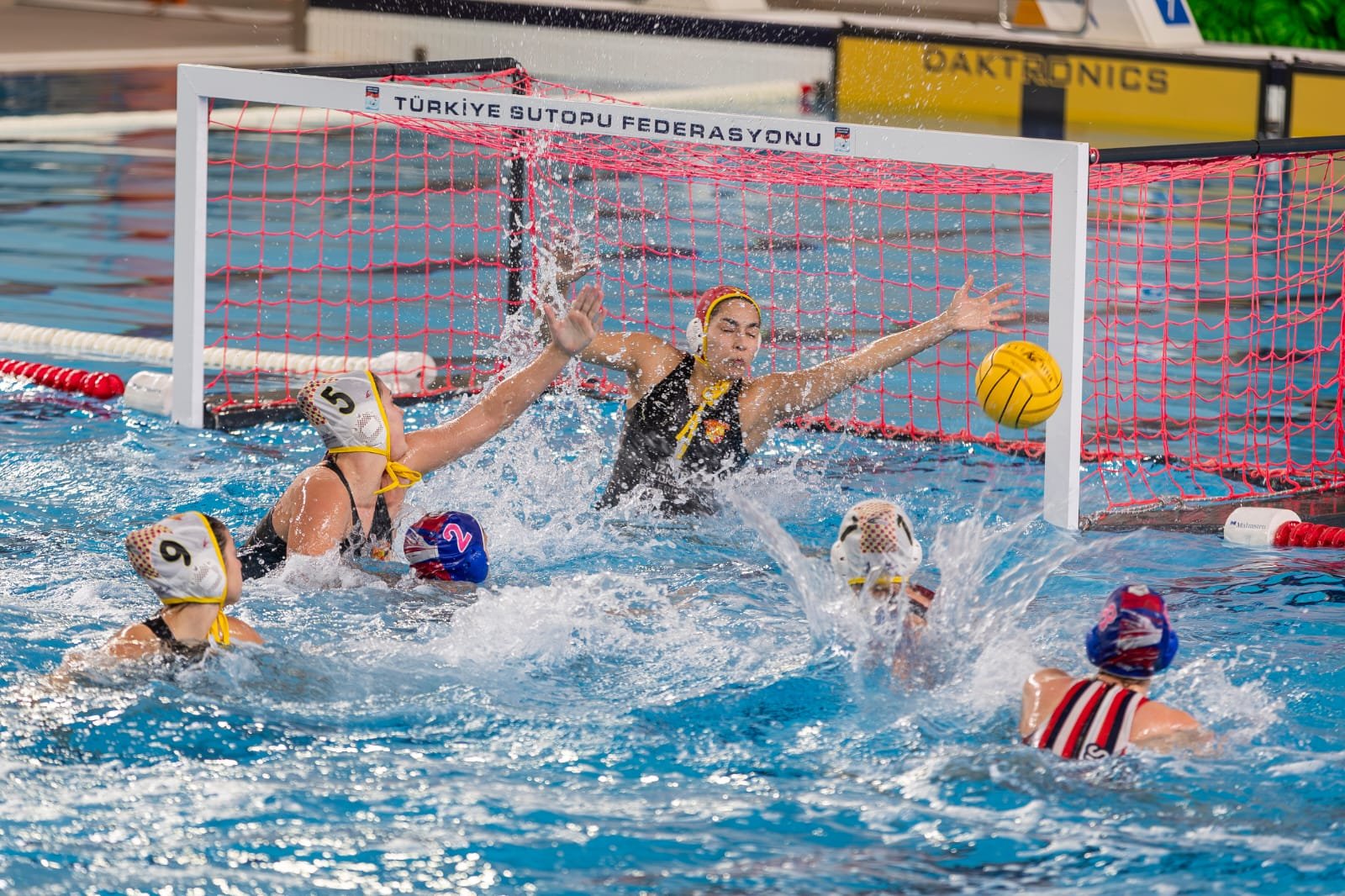 P H O T O 2026 03 06 08 55 30