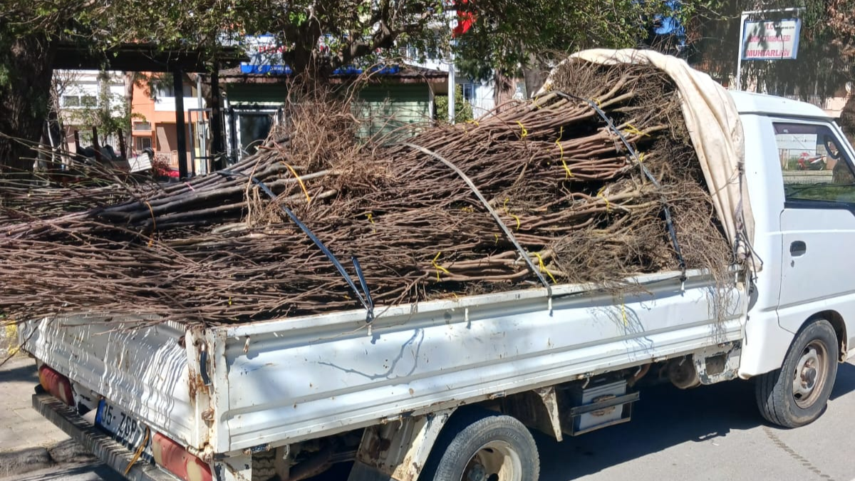 Ege Kültür Derneği'nden Ödemiş Köylerine Fidan Bağışı