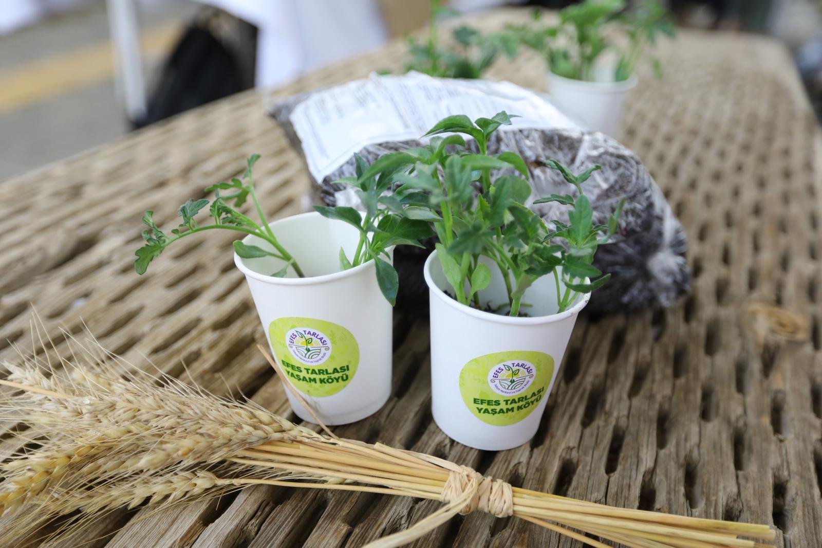 Whatsapp Image 2026 03 20 At 16.32.31 (1)