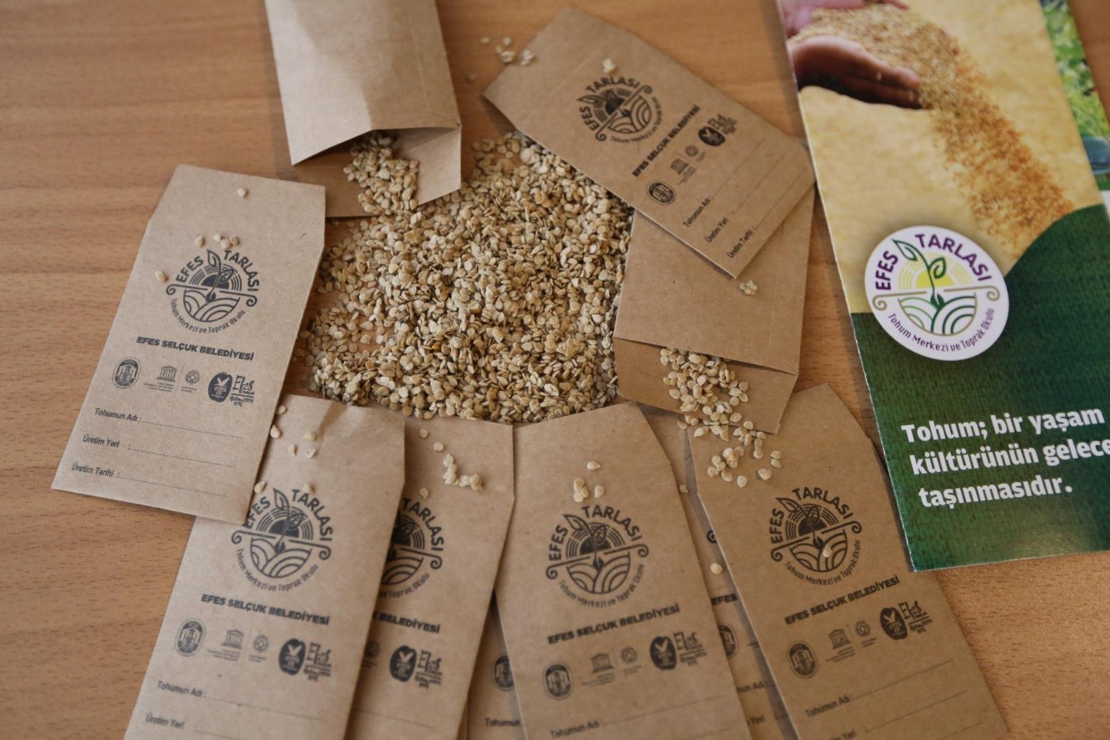 Whatsapp Image 2026 03 20 At 16.32.31