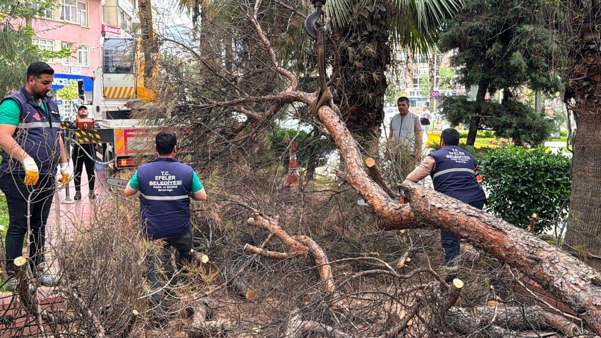 Efeler'de Parklar Daha Güvenli Hale Geliyor