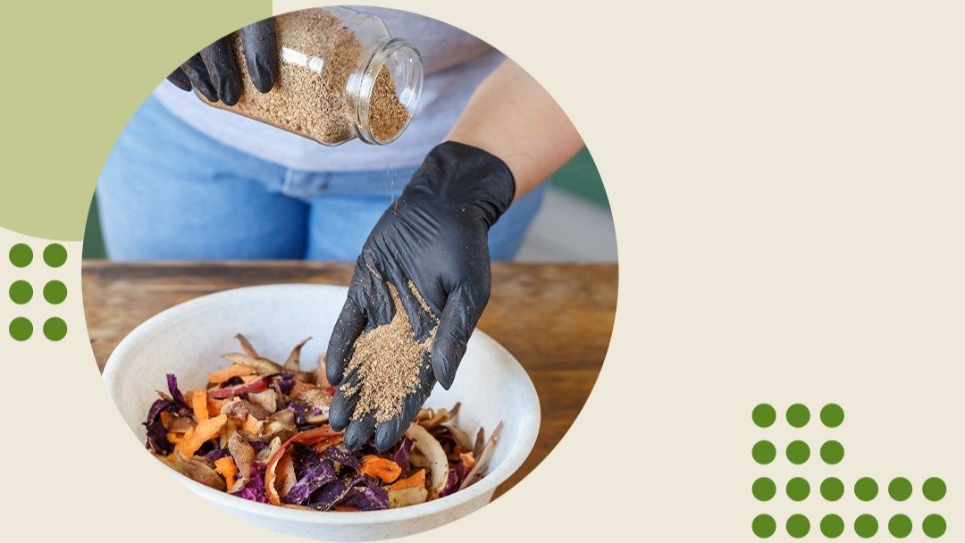 Buca'da "Bokaşi Kompostu" Eğitimi Verilecek