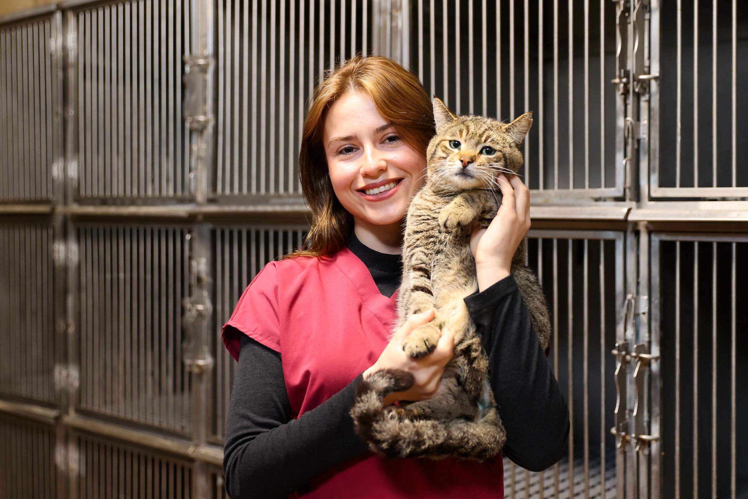 Buca Sokak Hayvanları Günü (2)