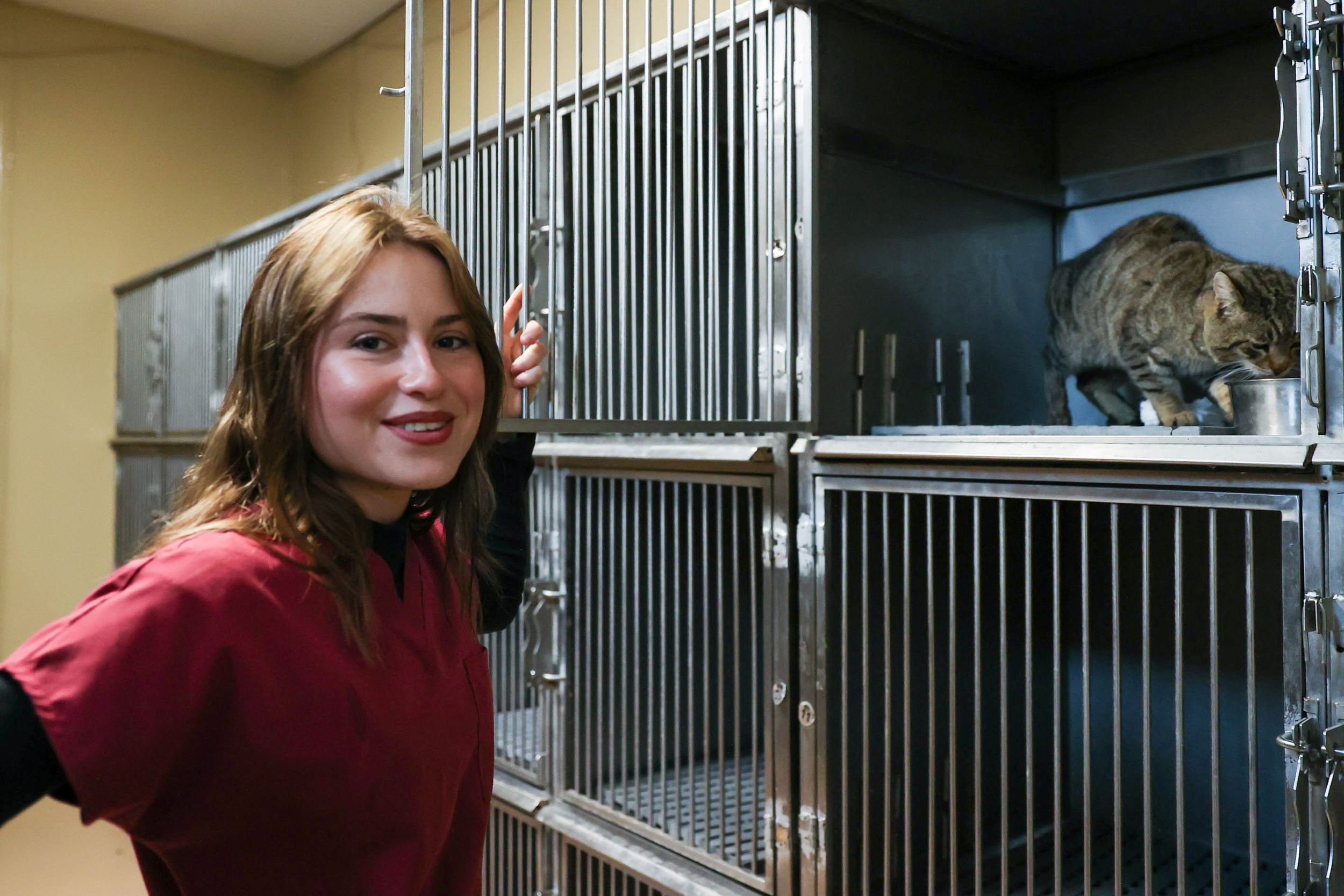 Buca Sokak Hayvanları Günü (7)