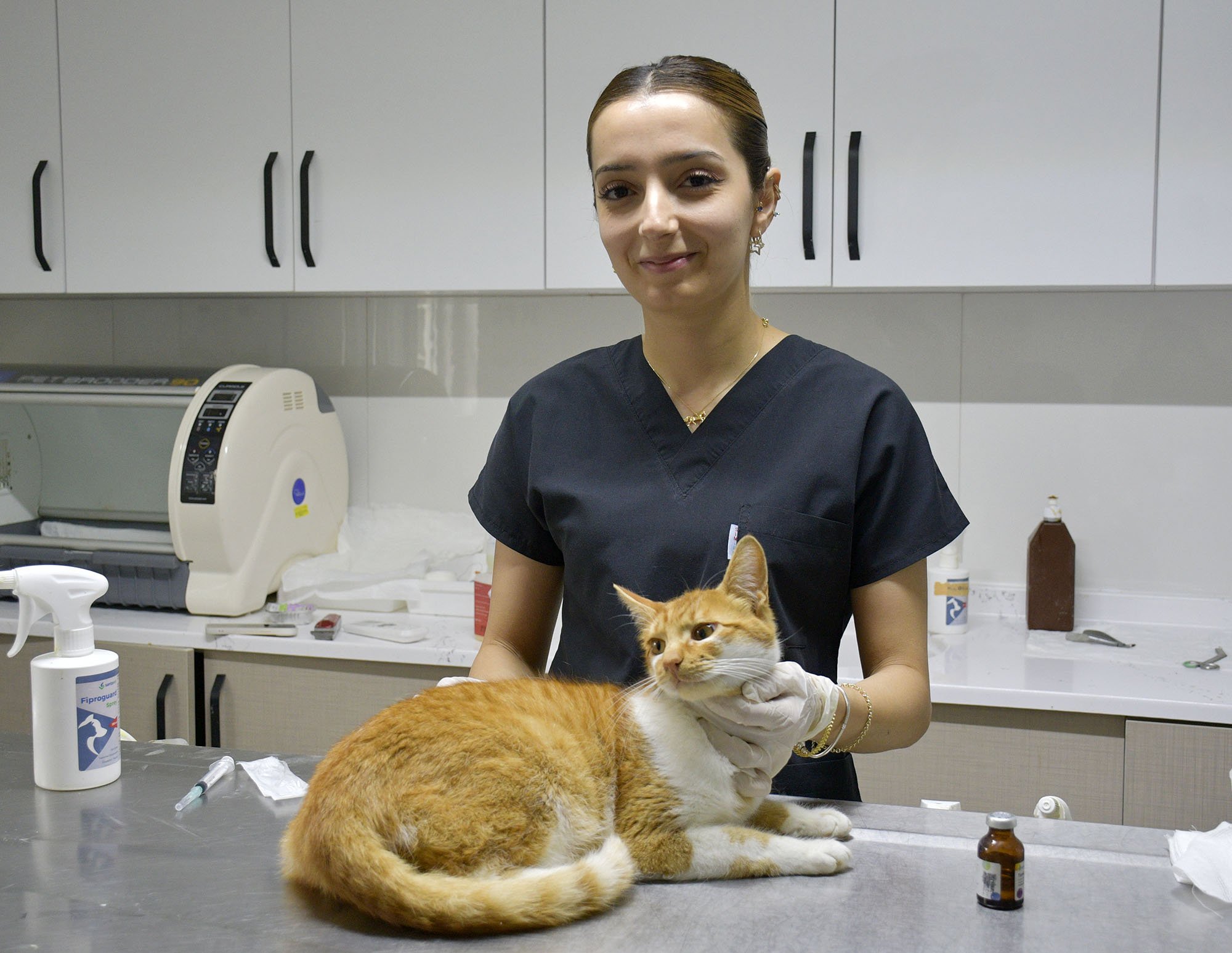 Kedi Kisirlastirma (7)