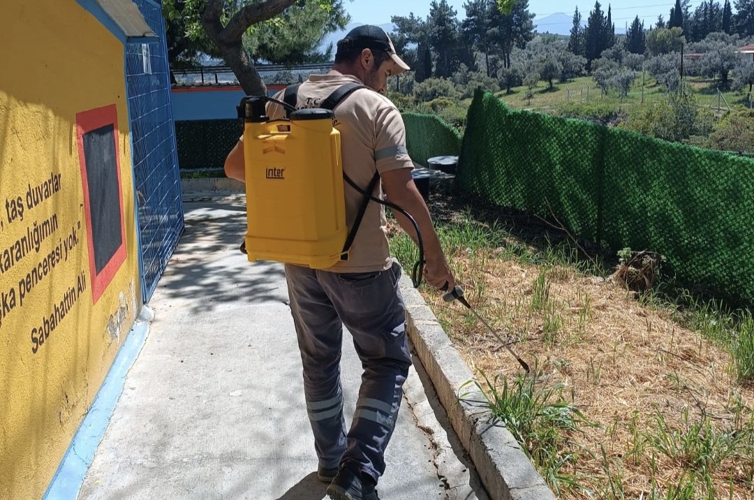 Kuşadasi Evci̇l Hayvan Bakim Ve Rehabi̇li̇tasyon Merkezi̇'nde Kene İçi̇n Erken Çözüm Hamlesi̇ (1)