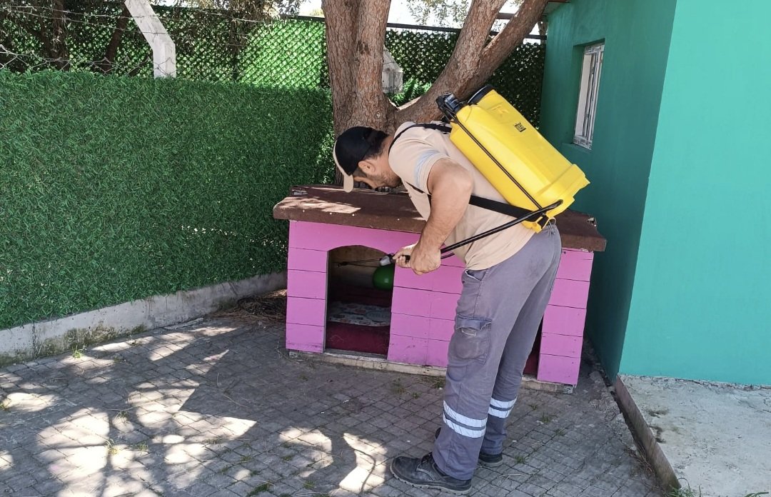 Kuşadasi Evci̇l Hayvan Bakim Ve Rehabi̇li̇tasyon Merkezi̇'nde Kene İçi̇n Erken Çözüm Hamlesi̇ (4)