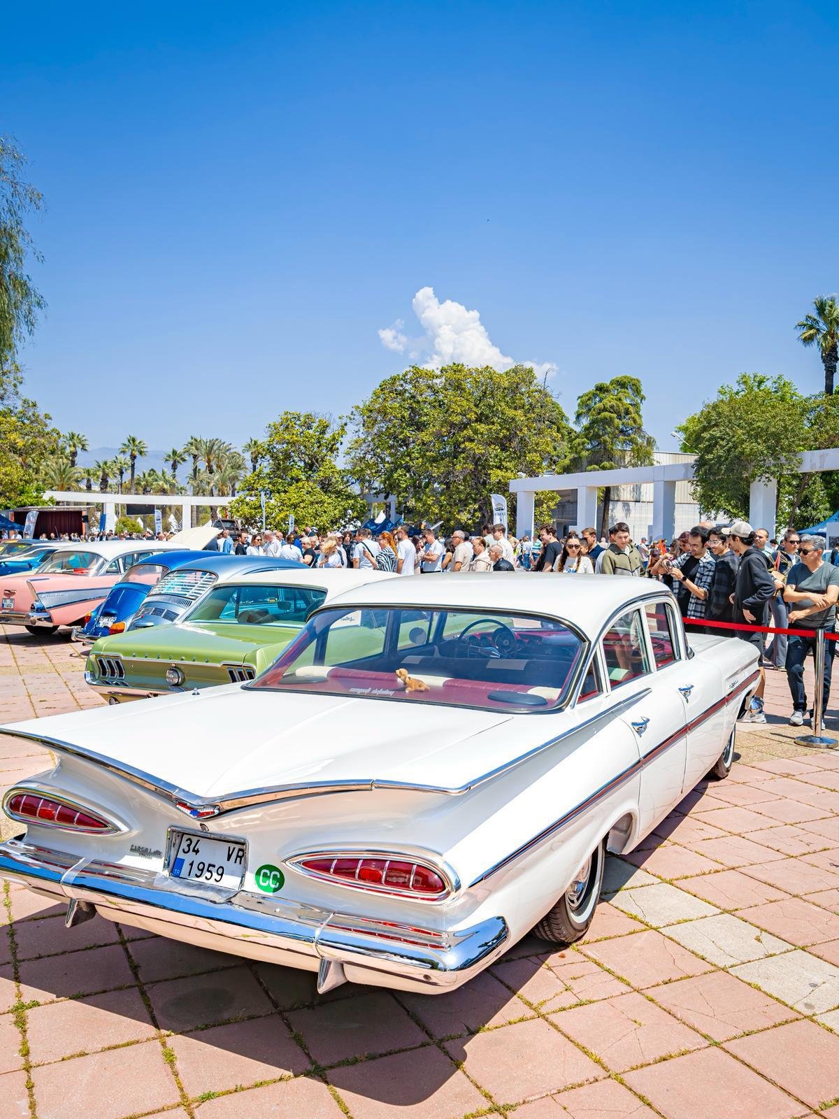 P H O T O 2026 04 26 21 35 47