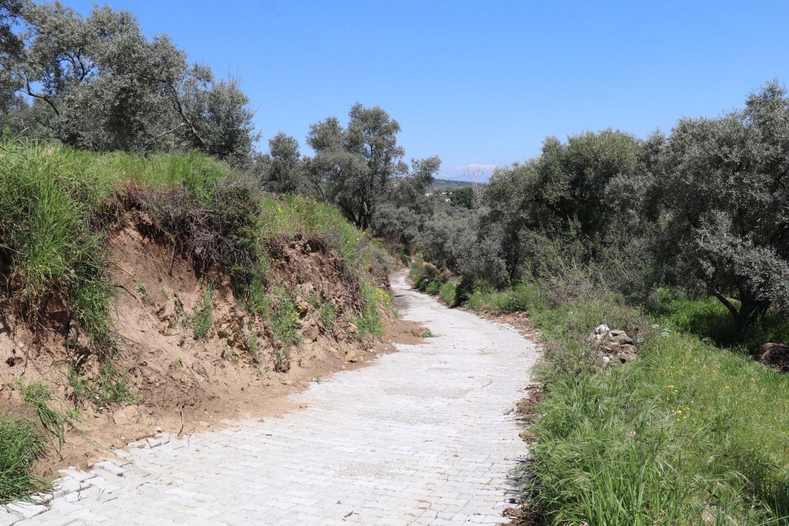 Whatsapp Image 2026 04 14 At 16.09.18 (3)