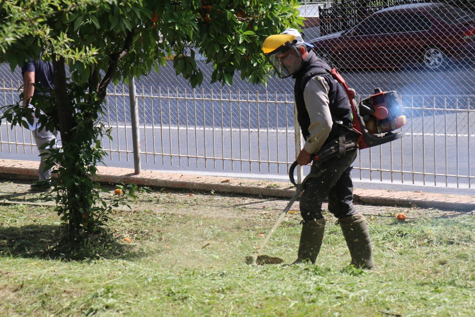 Whatsapp Image 2026 04 28 At 15.44.02 (1)