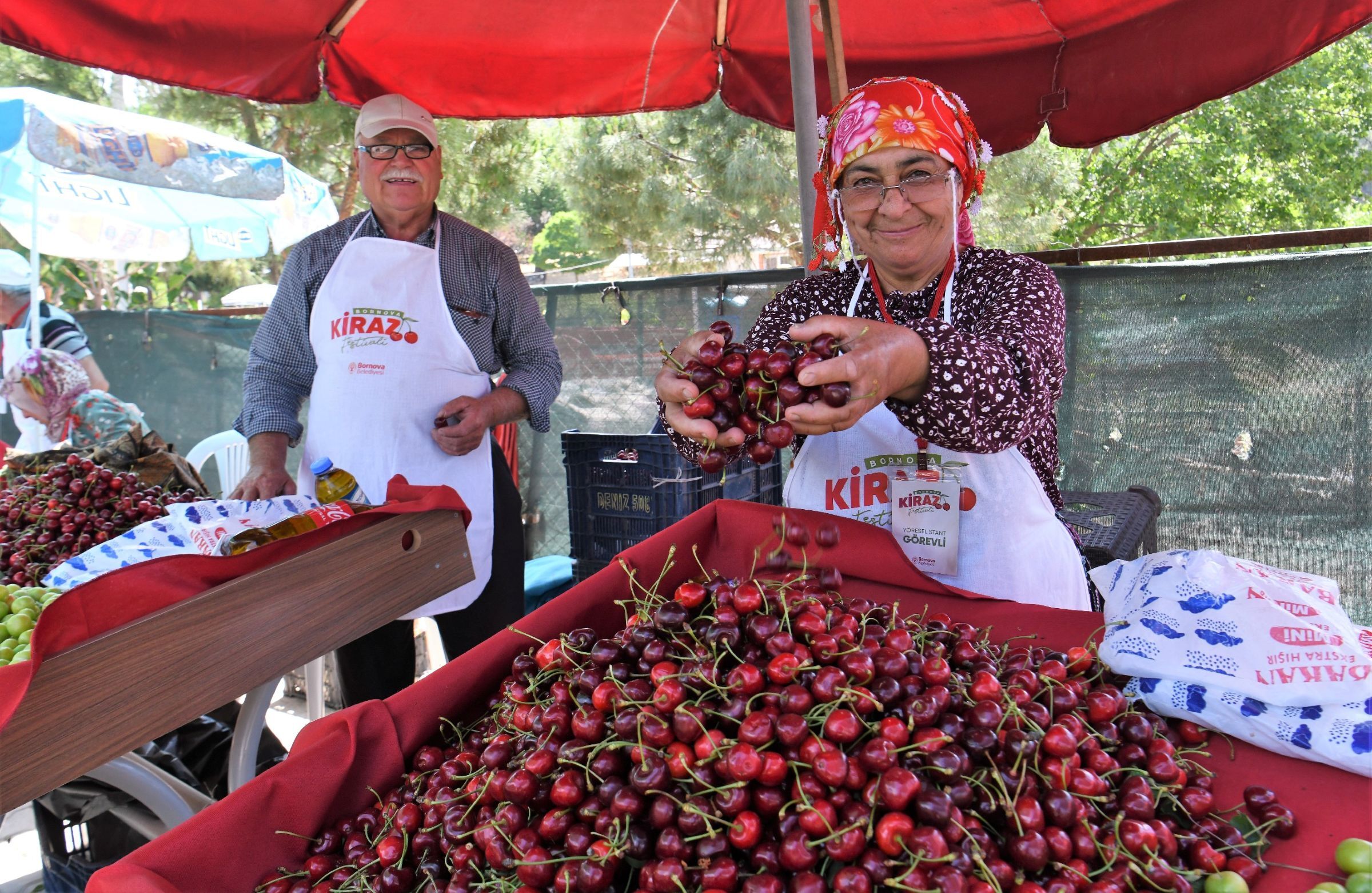 Kiraz Festivali (3)